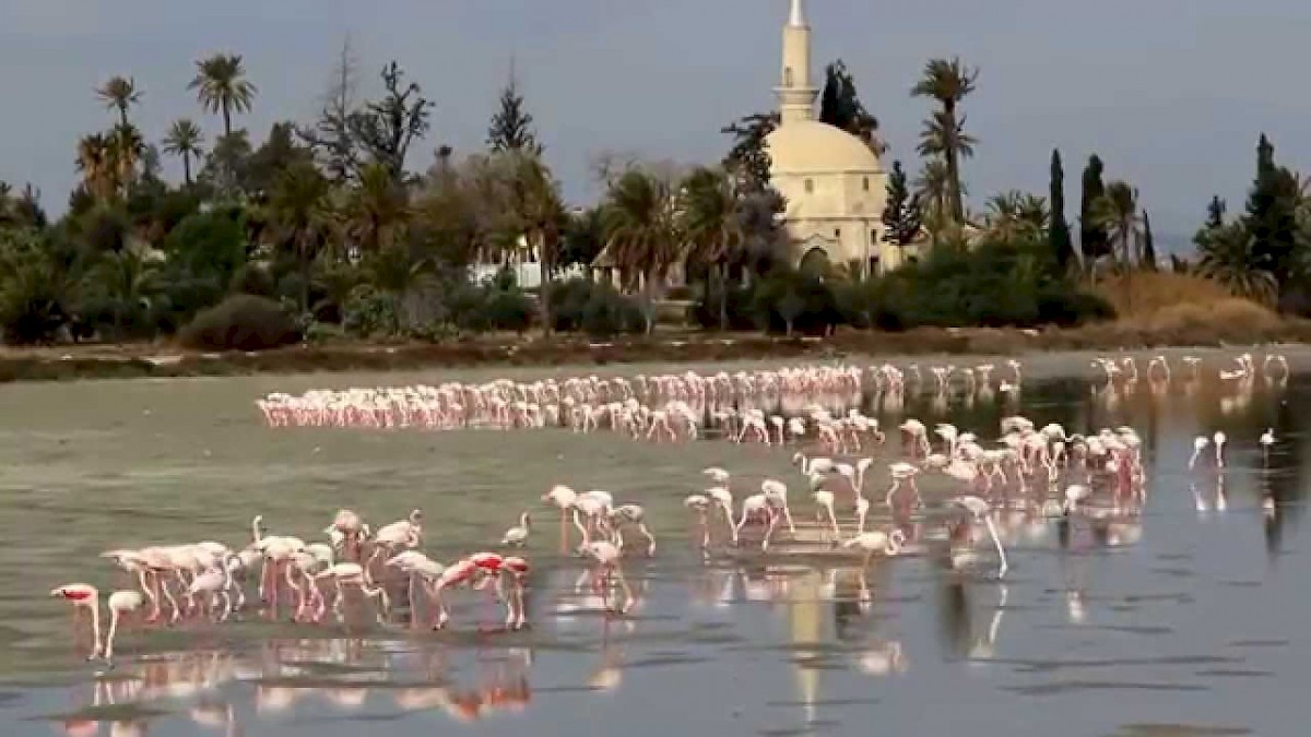 Larnaka Salt Lake