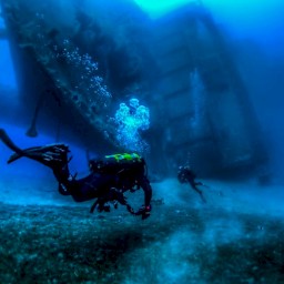 Zenobia shipwreck
