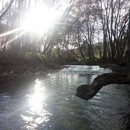 Diarizos River