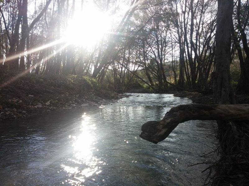Diarizos River